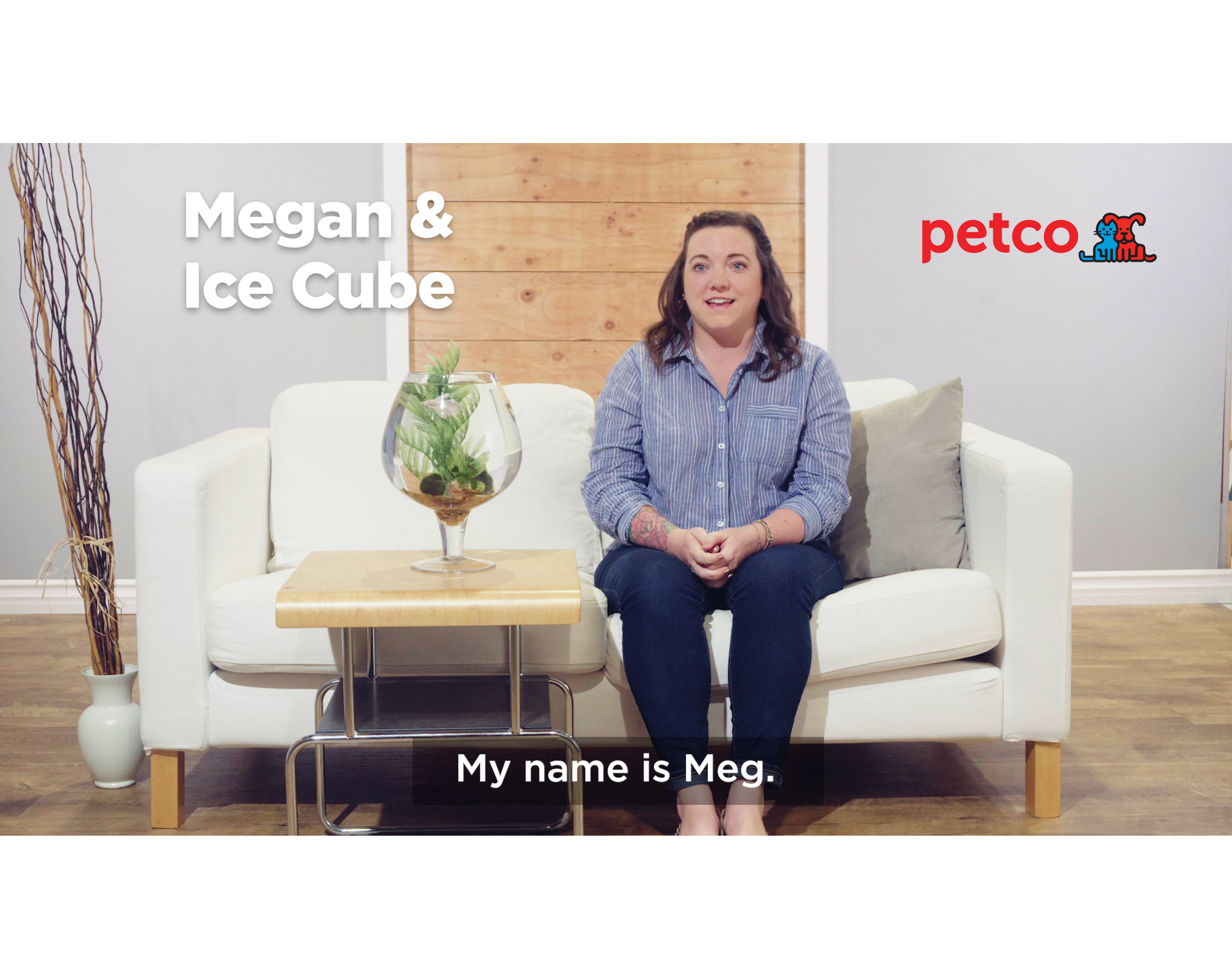 Petco